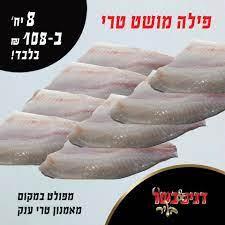 פילה אמנון (מושט) טרי